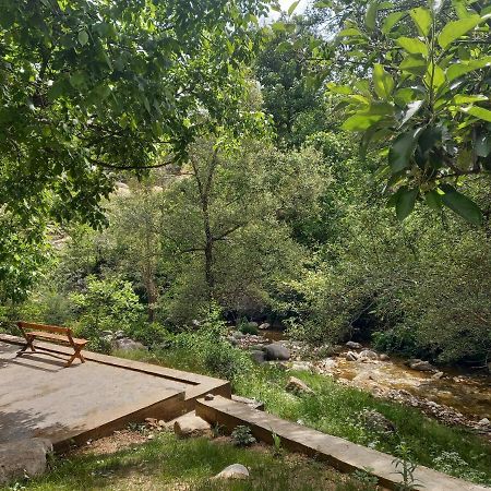 Forest Guest House Mirzakishlak Экстерьер фото