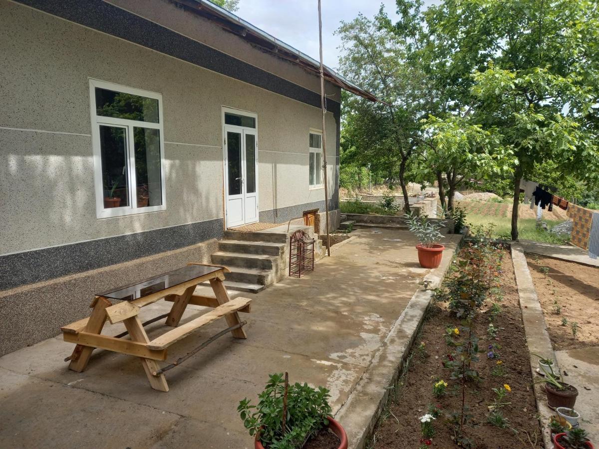 Forest Guest House Mirzakishlak Экстерьер фото