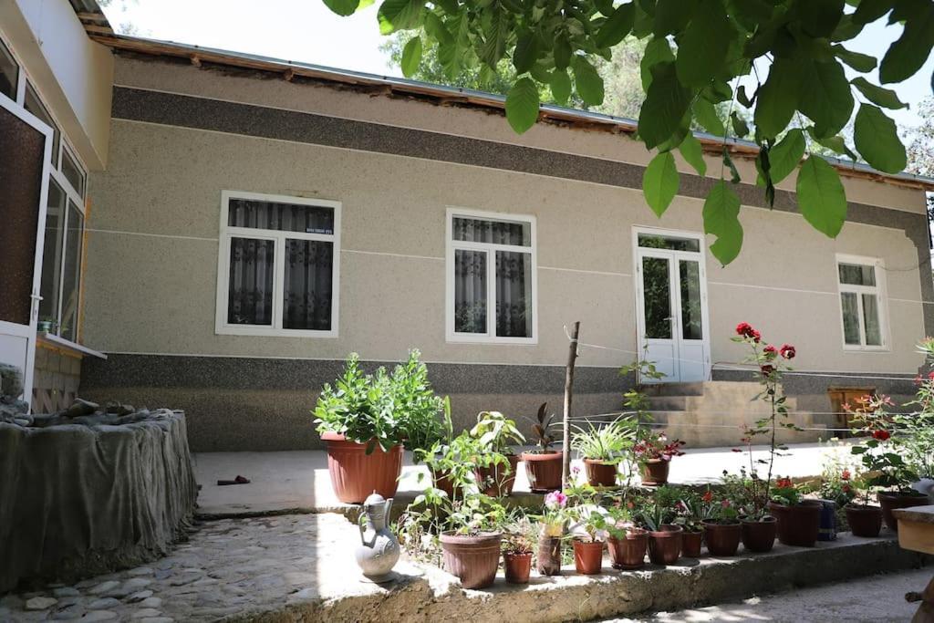 Forest Guest House Mirzakishlak Экстерьер фото