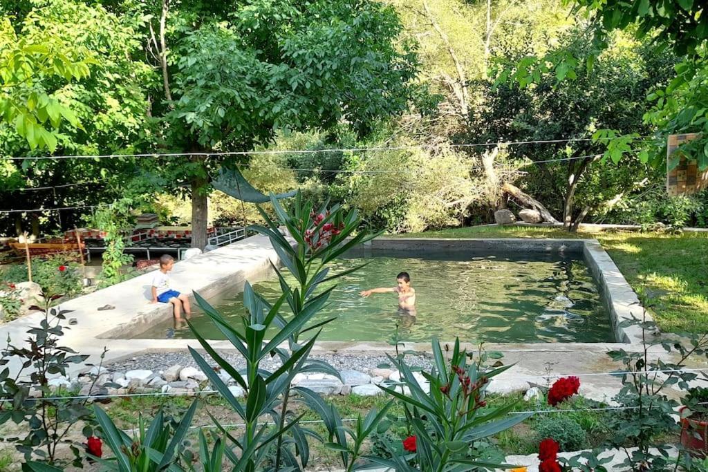 Forest Guest House Mirzakishlak Экстерьер фото